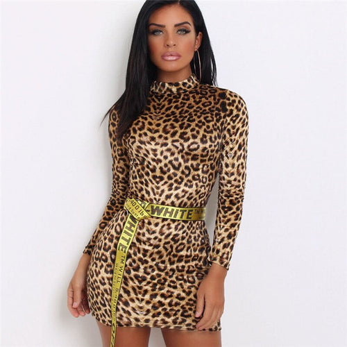 Leopard print Long Sleeve Mini Dress